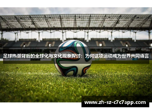 足球热潮背后的全球化与文化现象探讨：为何这项运动成为世界共同语言